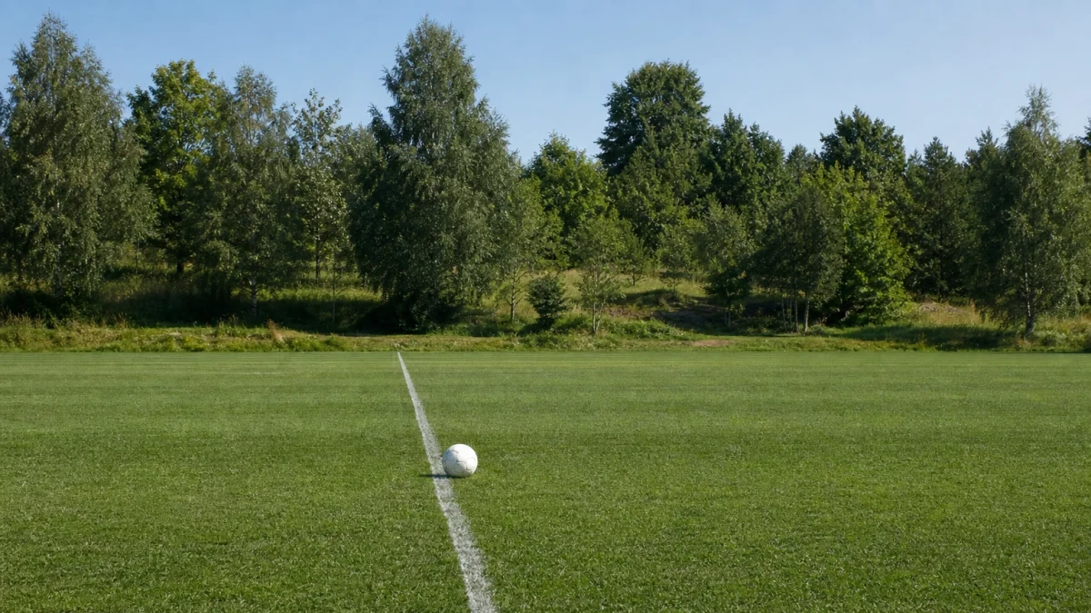 Fotboll på gräset i en tom kvällsbelyst arena